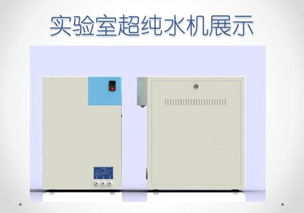 麻豆精品在线播放