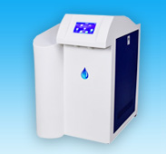 麻豆精品在线播放